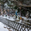 Sb�rka litinov�ch k���� leden 2019