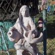 D�vka se d�b�nem